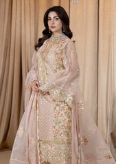 Formals - Raum By Sarb - Maah-e-Noor - Wedding Festive 25 - MWF#02
