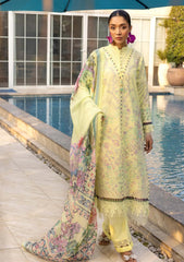 Lawn - Tessa - Luxury Lawn 25 - D#01 - Moonlit Pearl