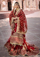 Formal Collection - MNR - Zarlish 23 - Biya Begum - D#03