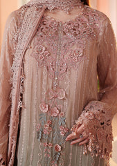 Formals - Maria B - Royale Tea Affair - Chiffons 26 - D#02