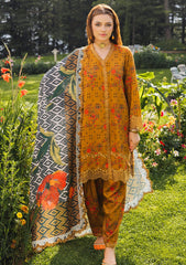 Winter Collection - Charizma - Aniq - Staple - CAES24#02