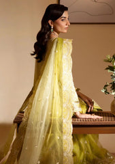 Formals - Dressline - Sania Rangeeli 25 - ZS#0033