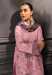 Winter Collection - Rang Rasiya - Carnation Khaddar Shawl - Jumana - D#10