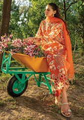 Lawn Collection - Rang Rasiya - Carnation Festive Edit - RC24#06 - COCO