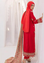 Winter Collection - Riaz Arts - DastKari23 - D#08
