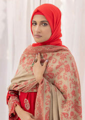 Winter Collection - Riaz Arts - DastKari23 - D#08