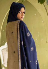 Winter Collection - Riaz Arts - DastKari - D#08