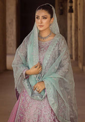 Wedding Collection - Zainab Chottani - Festive - Nermin - D# 08