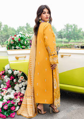 Winter Collection - Parishay - Nuray e Nazar - Fusion - NNF#08