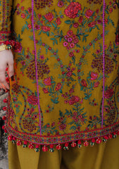 Winter Collection - Hussain Rehar - Karandi AW - D#08 - Aureate