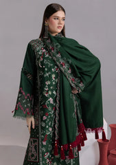 Winter - Parishay - Velvet Palachi Shawl 26 - CHE#14