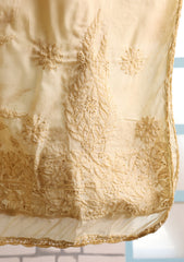 Lawn Chikankari Summer Shawl D#10 - Skin