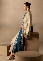 Winter - Raj Bari - Sareen 25 - Premium Viscose - D#06