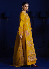 Winter - Parishay - Velvet Palachi Shawl 26 - CHE#13