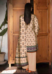 Lawn - Art n Style - Monsoon 25 - Volume 1 - D#18