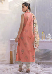 Lawn - Rubaaiyat - Muse Era - Luxury Lawn 25 - RM#11