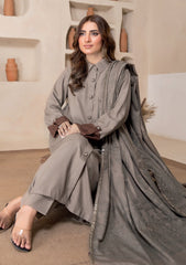 Winter - Bin Rashid - Aaina - Zari Wool 25 - BZW#07