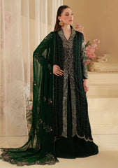 Formals - Nureh - Amaya - Luxury Embroidered Chiffon 25 - AM#16