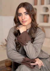 Winter - Bin Rashid - Aaina - Zari Wool 25 - BZW#07