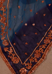 Formals - Bahawalpur Pehnawa - Chiffon - 2 Piece - D#20