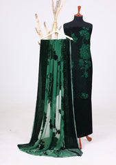 Winter - Riwaj - Velvet Suit - Printed Edit - D#07 - Green