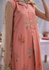 Lawn - Rubaaiyat - Muse Era - Luxury Lawn 25 - RM#11