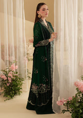 Formals - Nureh - Amaya - Luxury Embroidered Chiffon 25 - AM#16