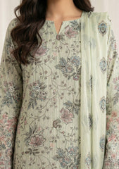 Lawn - Rubaaiyat - Chikankari 26 - Chiffon Dupatta - D#34 - Pista