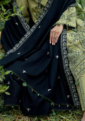 Winter - Gul Ahmed - Printed Pashmina - AP#62004