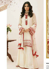 Festive Collection - Zellbury - Luxury - WULC22E30363