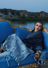 Winter - Hussain Rehar - Kot Radha Kishan - Karandi 26 - AAB