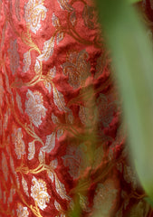 Formals - Fancy Closet - 2 pcs Suit - Chiffon Jamawar D#76 L Green