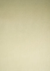 Platinum Classic Color# (145-Olive Branch)