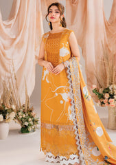Winter Collection - Asifa & Nabeel - Meraki - Volume 01 - AM24#08 - Solstice