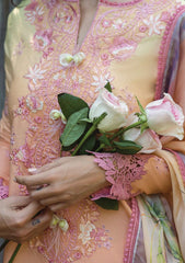 Lawn - Mushq - Solace Ombre Chikankari - MC25#04 - Risate