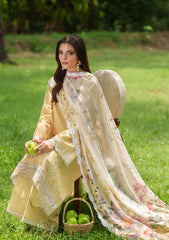 Winter - Asifa & Nabeel - Eden Cambric 25 - ECU#10 - Golden Dust