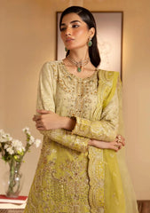 Formals - Dressline - Sania Rangeeli 25 - ZS#0033
