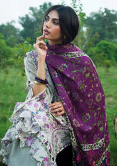 Winter - Elaf Premium - Wilderness - Pashmina Shawl Edit 26 - EWR#1B - ROAM