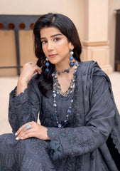 Winter - Riaz Arts - Zauq 25 - D#02