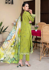 Lawn - Bin Rashid - Andaaz - Premium 25 - D#02