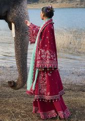 Lawn - Hussain Rehar - Luxury Lawn 25 - Mahogany