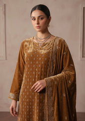 Winter - Riwaj - Velvet Stone Work 3 Pcs Suit - D#05 - Tabacco