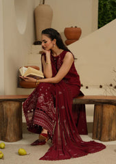 Winter - Humdum - Mushak - Embroidered Karandi - H25#01