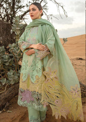 Lawn Collection - Rang Rasiya - Premium - RSP24#08 - Elnaz