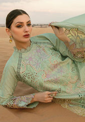 Lawn Collection - Rang Rasiya - Premium - RSP24#08 - Elnaz