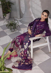 Winter Collection - Rang Rasiya - Florence - Linen shawl - DN#09