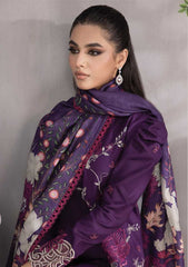 Winter Collection - Rang Rasiya - Florence - Linen shawl - DN#09