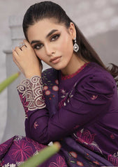 Winter Collection - Rang Rasiya - Florence - Linen shawl - DN#09