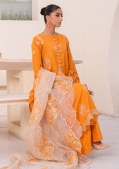 Lawn Collection - Humdum - ARZU - ALL24#02