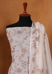 Formals - Bahawalpur Pehnawa - Chiffon - 2 Piece - D#07